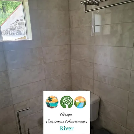 Apartment Carboncas River *